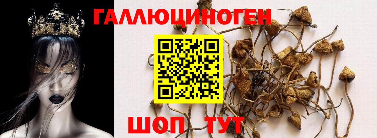 Псилоцибиновые грибы прущие грибы Тобольск