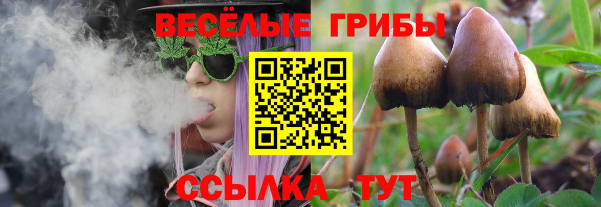 Тобольск  Псилоцибиновые грибы мухоморы  Вход с VPN 